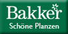 bakker